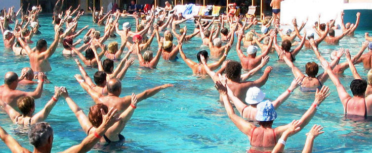 Protein for the Elderly